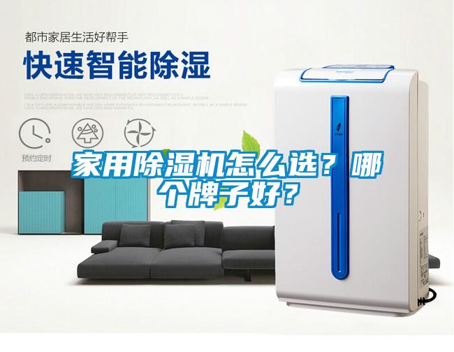 家用除濕機(jī)怎么選？哪個(gè)牌子好？